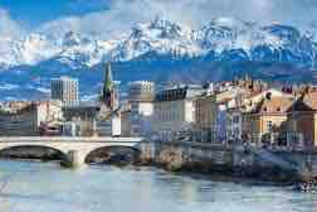 Grand Appartement Avec Vue Magnifique - Vercors - Une Experience Unique - Wifi Gratuit เกรอน็อบล์ ภายนอก รูปภาพ